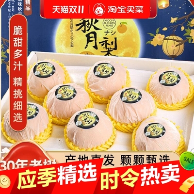 正宗山东秋月梨礼盒新鲜梨子9斤当季现摘莱阳冰糖梨雪梨蜜梨水果