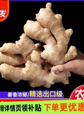 出口品质山东新鲜整片大黄姜高品质干姜生姜价老姜种