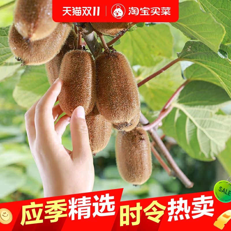花三岁贵州修文猕猴桃新鲜水果24颗应季整箱弥猴桃礼盒绿心奇异果