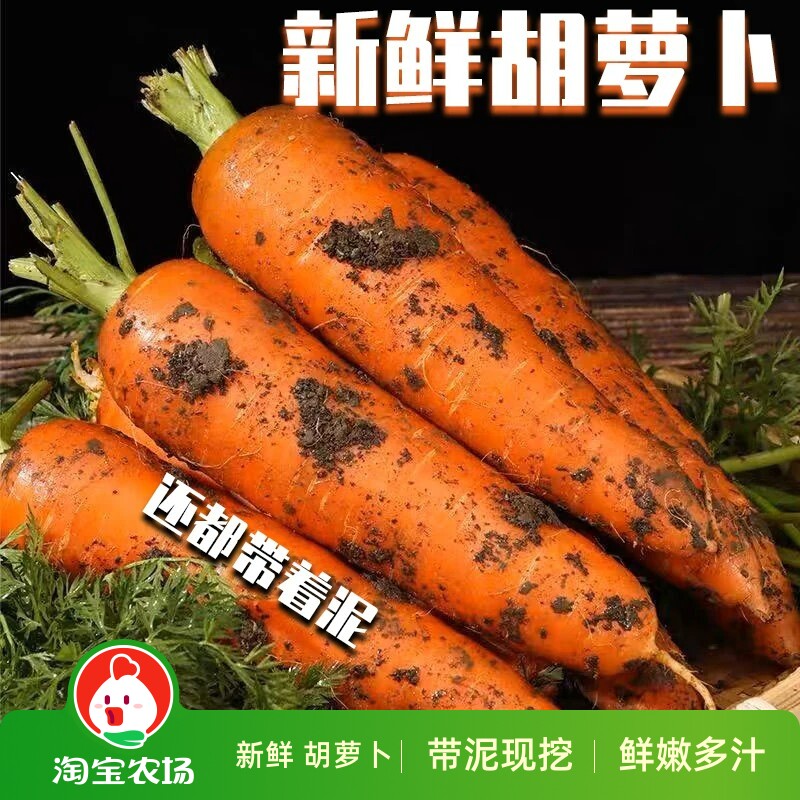 老品种胡萝卜水果萝卜新鲜蔬菜宝宝辅食红萝卜现挖甜脆当季自提