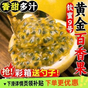 广西钦蜜9号黄金百香果新鲜水果包邮当季大果时令黄金果九号纯甜
