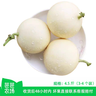 【芭芭农场】阎良甜瓜4.5斤单果500g+（3-4个装）