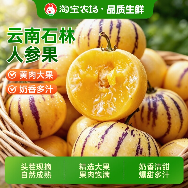 云南石林人参果新鲜水果大果应季整箱果黄肉圆果农场保存树熟市场