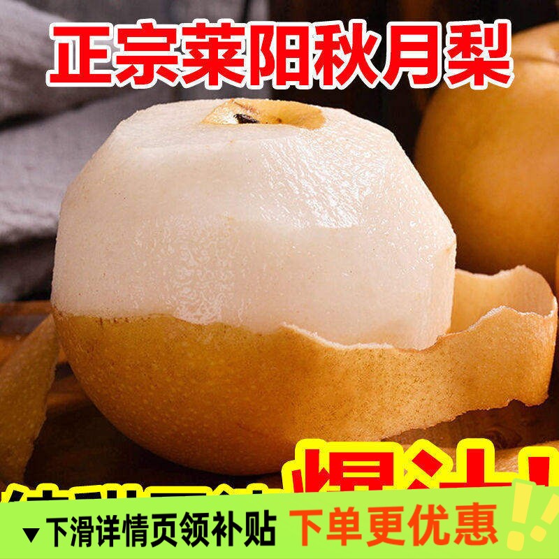 正宗山东秋月梨当季新鲜水果梨子冰糖雪梨蜜梨批发现摘一整箱精选