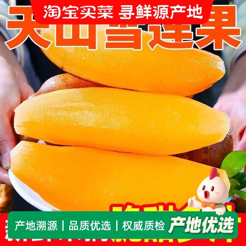 云南天山雪莲果黄心脆甜多汁当季水果新鲜应季水果雪莲果整箱包邮