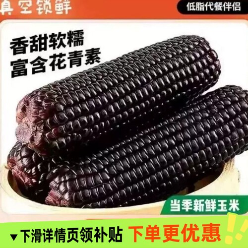 香甜黏糯玉米东北黑玉米真空装2025新鲜加热即食代餐低脂粗粮软糯