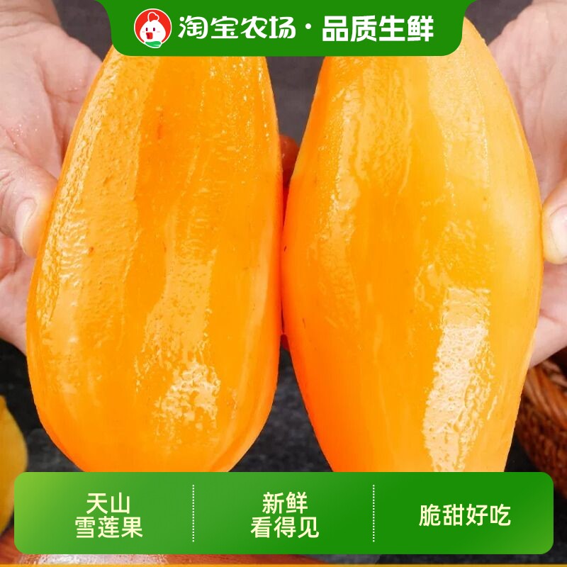 云南天山雪莲果新鲜水果当季红心黄心雪连果孕妇水果9斤农场适合