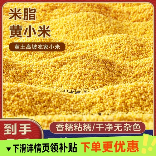 陕西黄小米当季新鲜米陕北米脂油小米黄小米宝宝米月子米煮粥杂粮