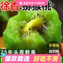 彩箱徐香猕猴桃陕西眉县当季 新鲜水果奇异果孕妇水果新鲜水果