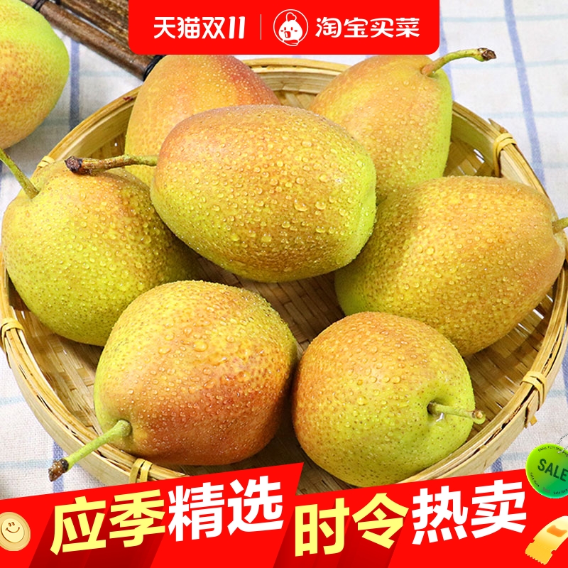 红香酥梨新鲜水果脆甜多汁梨大梨子现摘现发包邮