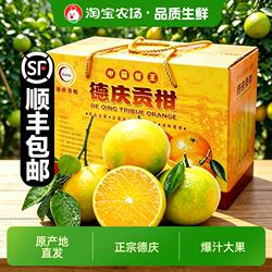 顺丰包邮正宗德庆贡柑新鲜大果现摘鲜发当季水果橙甜坏果秒赔原产