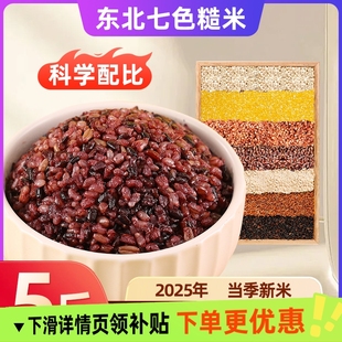 东北七色糙米当季新米五谷杂粮低脂轻食代餐杂粮米粥粗粮组合健身