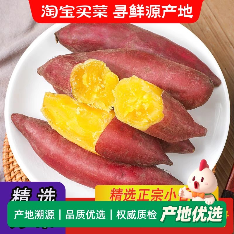 临安天目山小香薯正宗板栗红薯新鲜现挖农家自种地瓜山芋产地包邮