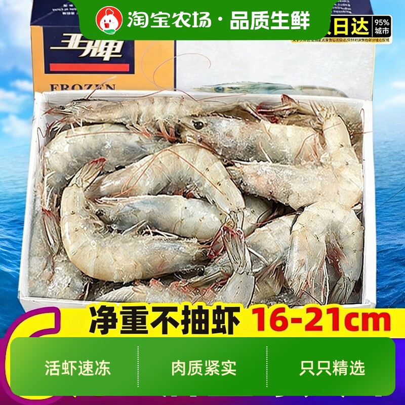 王牌大虾3040鲜活冷速冻基围虾厄瓜多尔南美白对虾类盐冻海鲜白虾图片