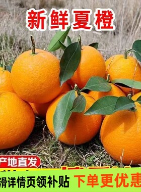 秭归夏橙脐橙子湖北手剥橙果冻整箱橙子水果新鲜应当季大果榨汁