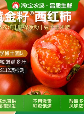 黄金籽西红柿4.8-5斤非转基因新鲜自然熟老品种水果番茄柿子