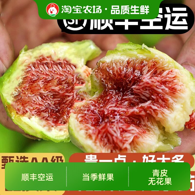 山东威海青皮无花果鲜果特产当季新鲜水果批发顺丰空运绿皮现摘