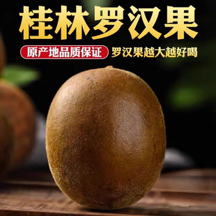 正宗罗汉果干果独立包装广西桂林特产新货大果罗汉果茶泡水多规格