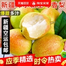 包邮 正宗新疆产库尔勒香梨新鲜应季 水果特级梨子脆甜多汁整箱空运