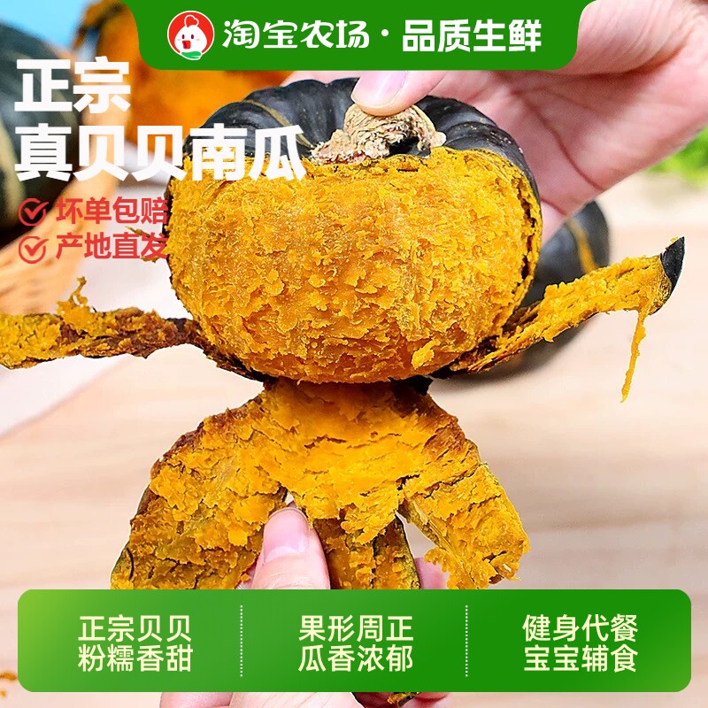 正宗贝贝南瓜板栗味软糯香甜宝宝辅食绵密细腻新鲜蔬菜美食香甜