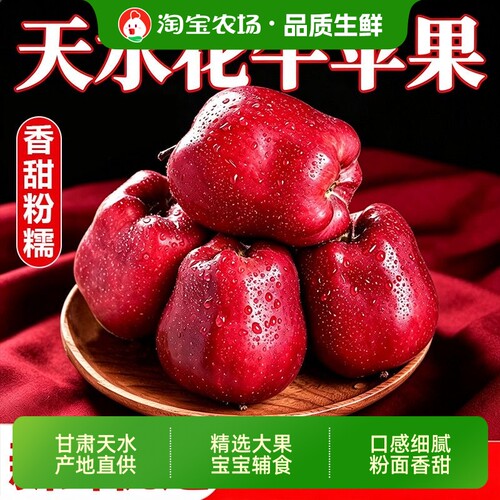 花牛苹果正宗甘肃天水现摘水果新鲜整箱当季糖心粉面丑平安果农场