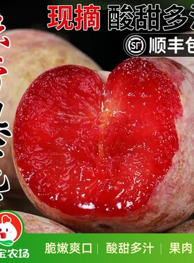 新疆恐龙蛋红心李杏子顺丰包邮