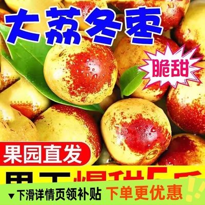 陕西大荔冬枣时令冰糖冬枣脆枣鲜枣新鲜水果爆甜顺丰/JD包邮5斤