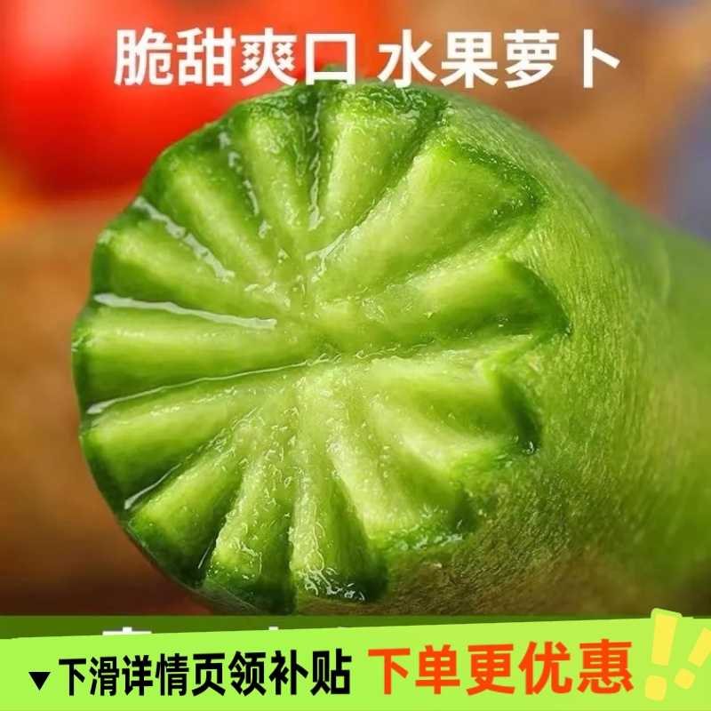 山东潍坊青萝卜水果萝卜沙窝萝卜脆甜可口生吃新鲜现挖优质脆嫩