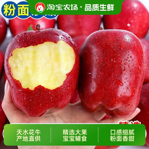 甘肃天水花牛苹果新鲜水果产地直发时令粉面刮泥整箱包邮正宗农场