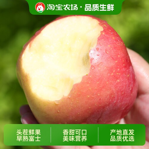 陕西红富士苹果新鲜水果当季整箱9斤脆冰糖丑青小苹果水果包邮