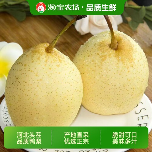 正宗河北赵县鸭梨3斤9斤当季水果新鲜梨子水晶梨整箱批发农场直发