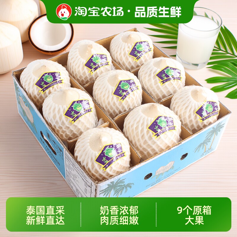 泰国椰青9个香椰香水椰新鲜包邮椰汁椰子水果时令当季椰肉奶香