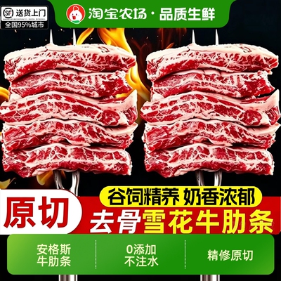 安格斯牛肋条肉牛肉新鲜雪花谷饲原切去骨牛腩烧烤肉生鲜食材商用