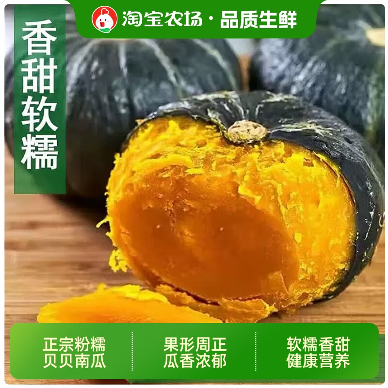 正宗新鲜贝贝南瓜粉糯香甜板栗味宝宝辅食产地直发包邮农场好吃