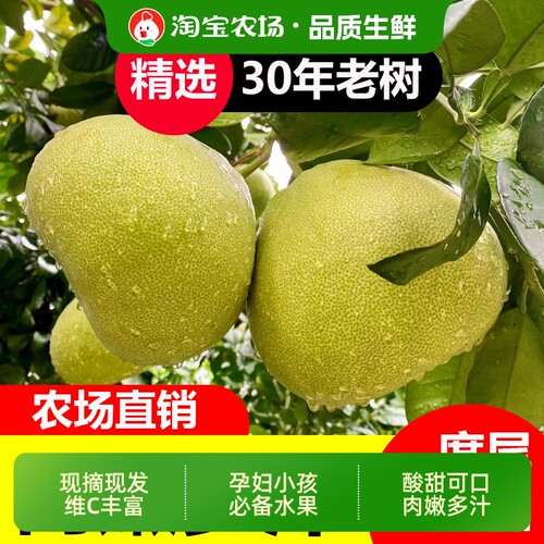 【正宗】福建度尾红心文旦柚产地直发皮薄多汁酸甜新鲜水果柚子