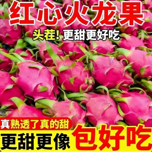 广西南宁红心火龙果新鲜采摘