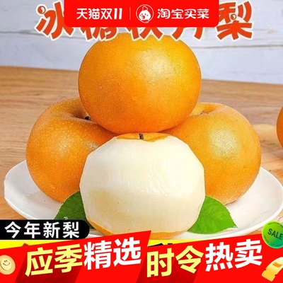 正宗秋月梨新鲜梨子当季现摘冰糖梨雪梨蜜梨整箱包邮