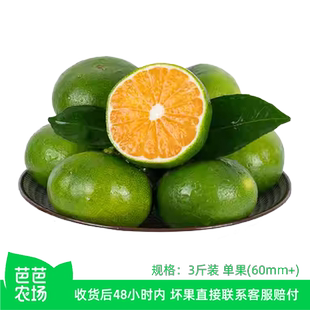 青皮蜜桔多果新鲜原汁整箱水果产地直发孕妇水果现摘绿皮农场清香