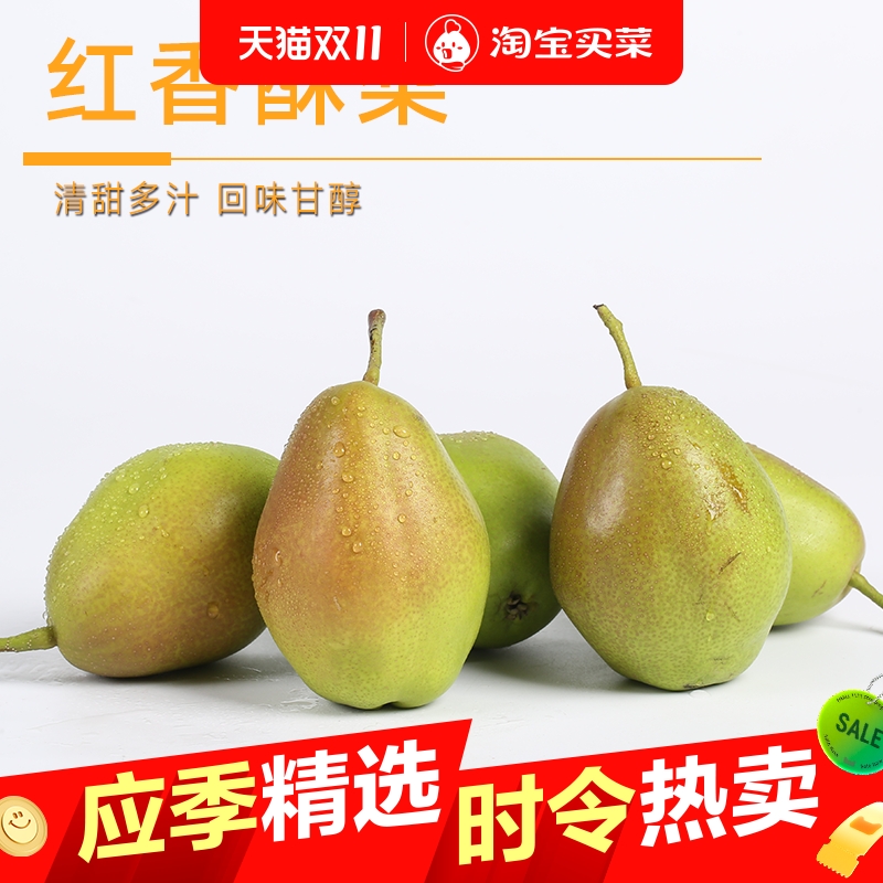 红香酥梨水果新鲜当季现摘皮薄香梨青皮梨脆蜜梨