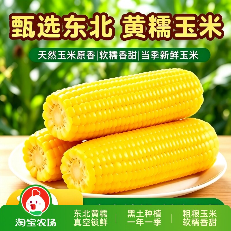 新鲜东北头茬黄糯玉米真空代餐粗粮主食黏玉米10支装商用香甜软糯