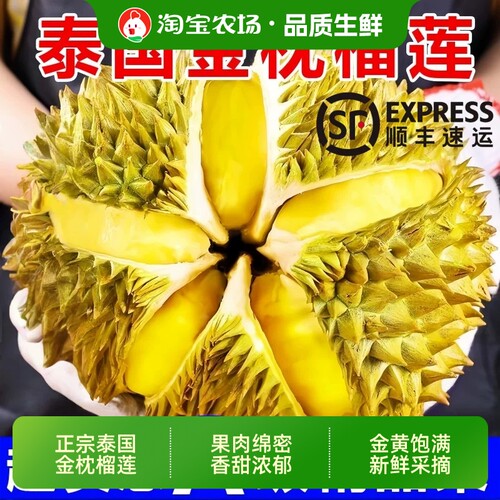 泰国金枕榴莲新鲜水果巴掌榴莲肉冷冻当季爽口香甜鲜果现摘保存
