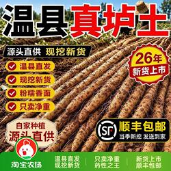 河南焦作温县铁棍山药垆土淮山药正宗怀山药特产新鲜山药5斤甄选