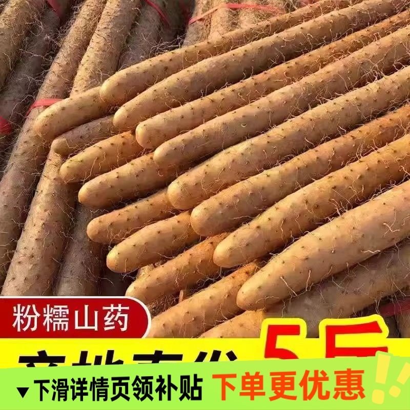 正宗铁棍山药新鲜铁杆淮山农家小白嘴山药软糯甘香老少皆宜