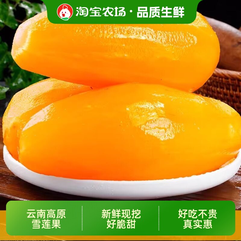 2026年云南现货雪莲果新鲜水果应当季现挖黄心特级云南连果9斤