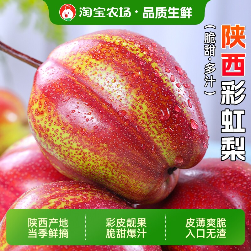 陕西新鲜彩虹梨水果大果当季梨子红皮梨早酥梨整箱包邮农场小时