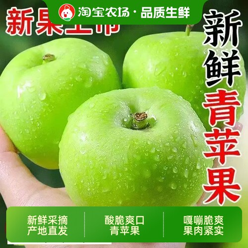 正宗山西青苹果应季水果新鲜苹果