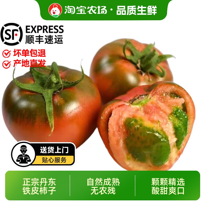 正宗丹东铁皮草莓柿子盘锦碱地即食新鲜自然熟绿腚番茄水果西红柿