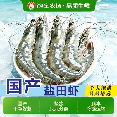 源自渤海湾鲜活速冻国产盐田虾