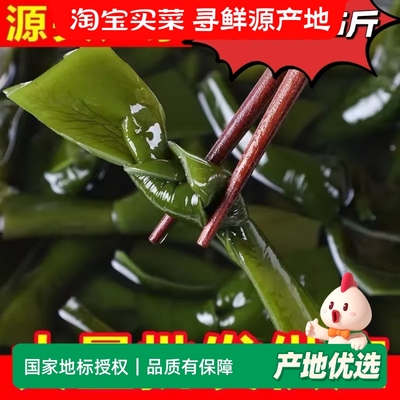 盐渍海带结新鲜海带扣非干货煲汤火锅凉拌关东煮麻辣烫商用批发