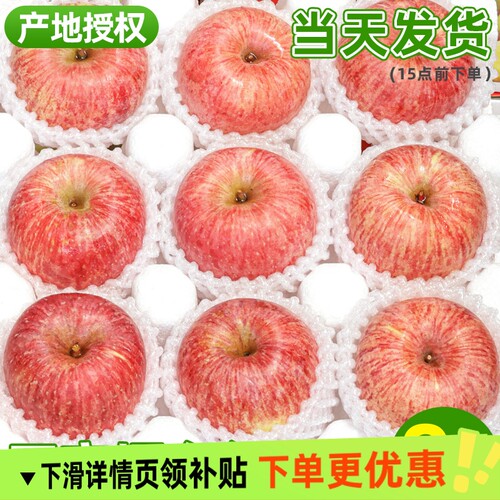 苹果新鲜水果正宗烟台红富士应季水果整箱批发栖霞现摘脆甜包邮